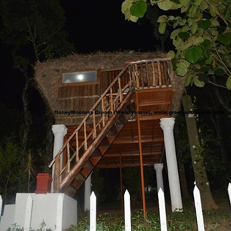 Green Ark Resorts Thekkady Bilik gambar