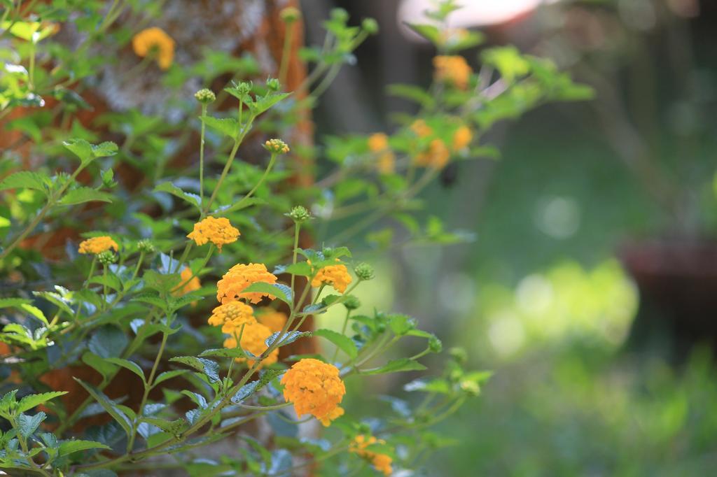 Green Ark Resorts Thekkady Luaran gambar